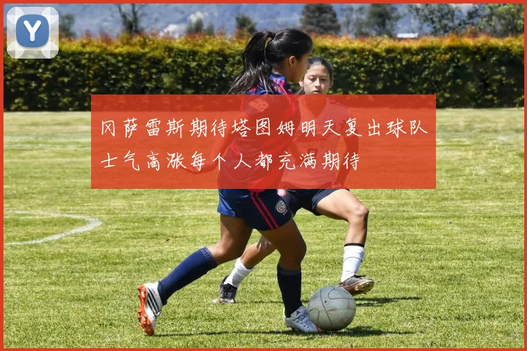 冈萨雷斯期待塔图姆明天复出球队士气高涨每个人都充满期待