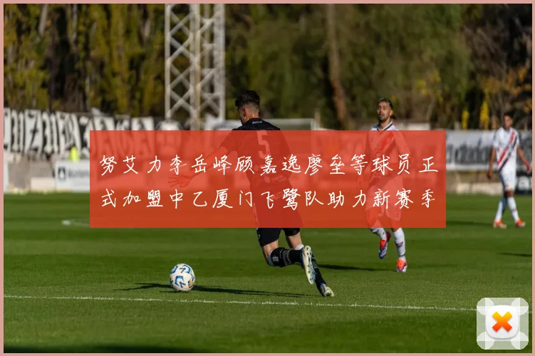 努艾力李岳峰顾嘉逸廖垒等球员正式加盟中乙厦门飞鹭队助力新赛季
