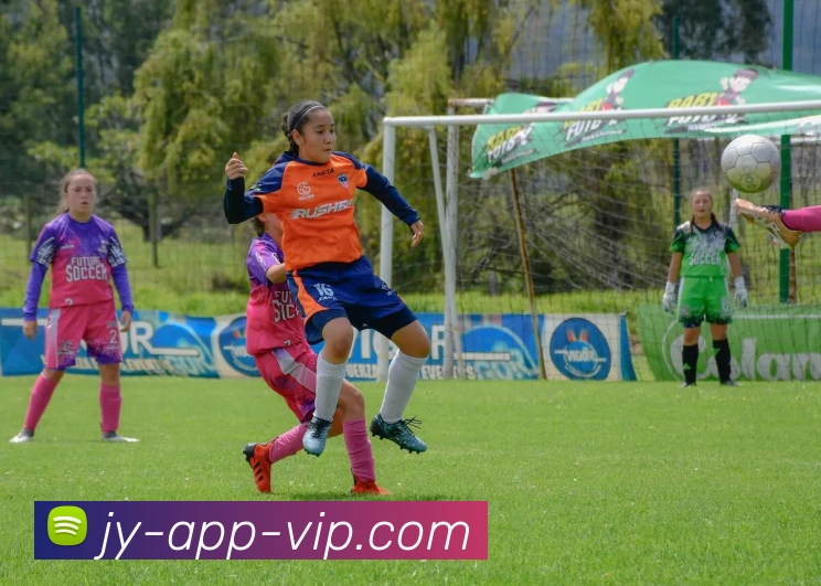 多媒体互动体验